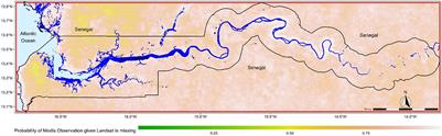 Understanding the states and dynamics of mangrove forests in land cover transitions of The Gambia using a Fourier transformation of Landsat and MODIS time series in Google Earth Engine